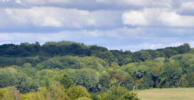 Vue paysage Chauffry